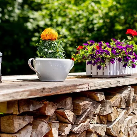 Casa de hóspedes & Restaurant Lengefelder Warte Anrode