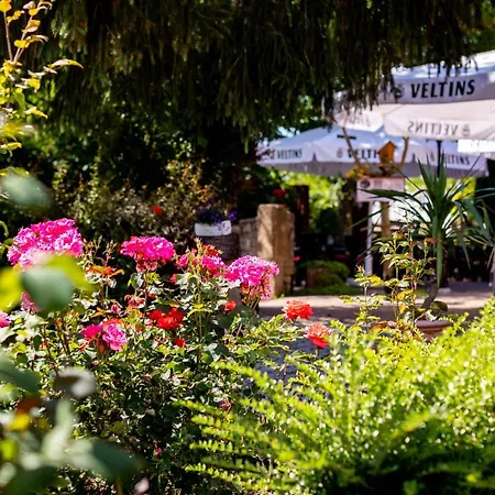 & Restaurant Lengefelder Warte 3* Anrode