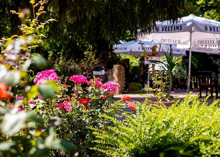 & Restaurant Lengefelder Warte 3* Anrode